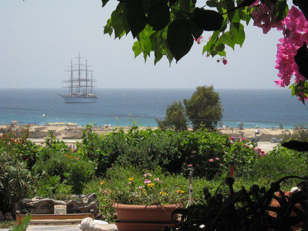 Naxos City Studios Diogenis מראה חיצוני תמונה